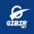 Gıbırnet